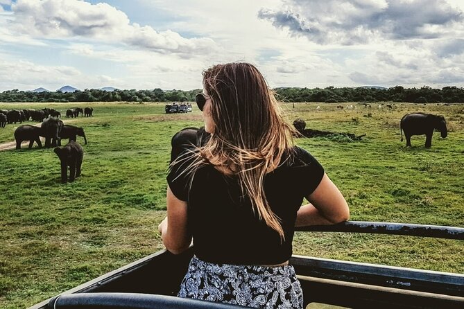 VALUE PACK! One Day Safari Tour to Yala and Udawalawa Parks - Price and Value: What $100 Really Covers (and What It Doesn’t)