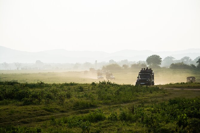VALUE PACK! One Day Safari Tour to Yala and Udawalawa Parks - Transportation, Timing, and the Comfort Reality Check