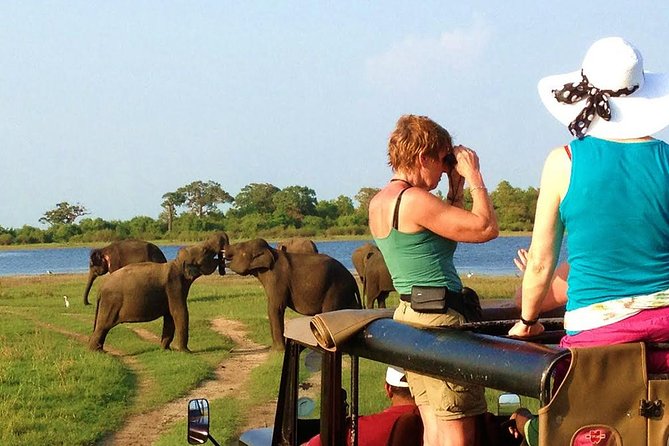 VALUE PACK! One Day Safari Tour to Yala and Udawalawa Parks - Yala National Park: The 4x4 Game Drive That Makes or Breaks the Day