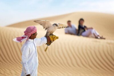 Vip Desert Safari dubai - Dune bashing: the thrill part, with one expectation check