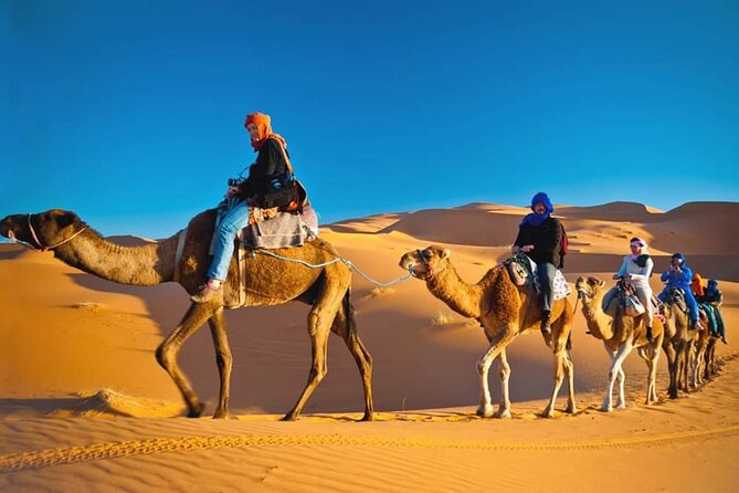 Vip Desert Safari dubai - Dinner in the camp: buffet meal plus show program
