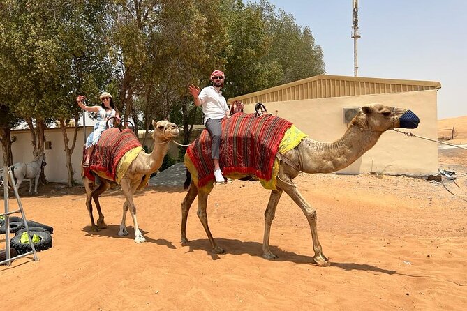 Vip Desert Safari Dubai with Camel Riding BBQ Dinner & Live Shows - Al Aweer Bedouin Camp: Camel Ride, Sandboarding, Henna, and Photos