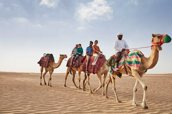 VIP Dubai Sunset Desert Safari: Camel Ride, BBQ, Unlimited Spirit - Camel ride and sandboarding: fun with a bit of effort