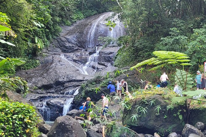 Waterfall and Beach Safari in Santa Lucia - River pool swim: the moment many people book this for