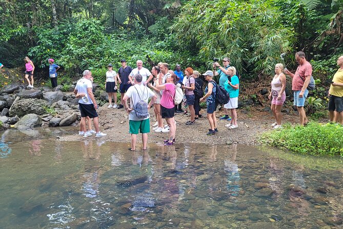 Waterfall and Beach Safari in Santa Lucia - Marigot Bay viewpoint: cinematic scenery without the time sink