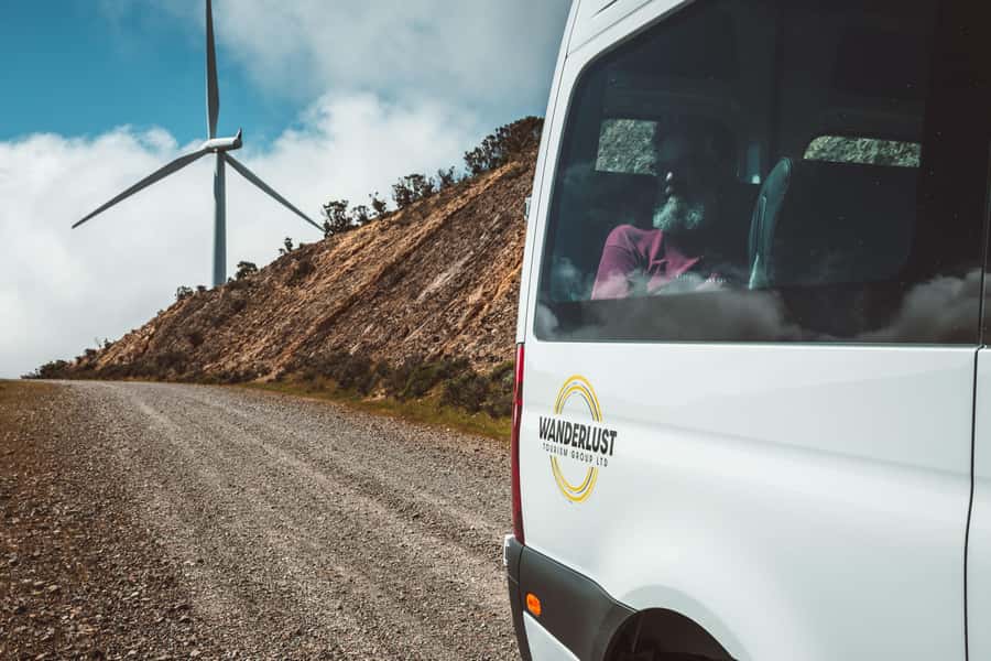 Wellington: Half Day Seal Coast Safari - Value for $116: Why This Half Day Costs What It Costs