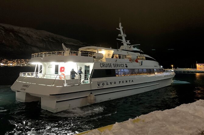 Whale Safari in Tromso - Tromsø Fjords by Catamaran: the whole point of this whale safari