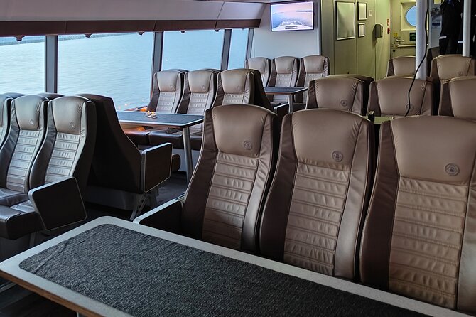 Whale Safari in Tromso - Deck tactics: seats, crowding, and how to actually get a view