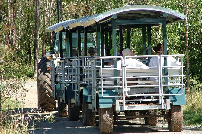 Whitsunday Crocodile Safari - Key things to know before you go