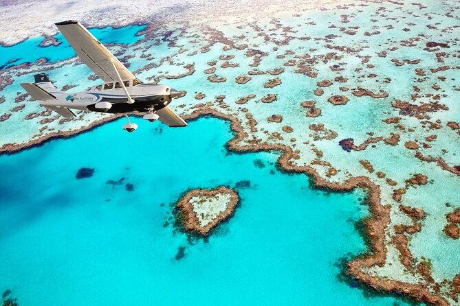 Whitsunday Crocodile Safari - What to bring (and what will save you time on the day)