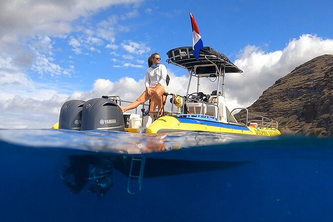 Wild Dolphin Watching and Snorkel Safari Off West Coast of Oahu - Key Highlights to Know Before You Go