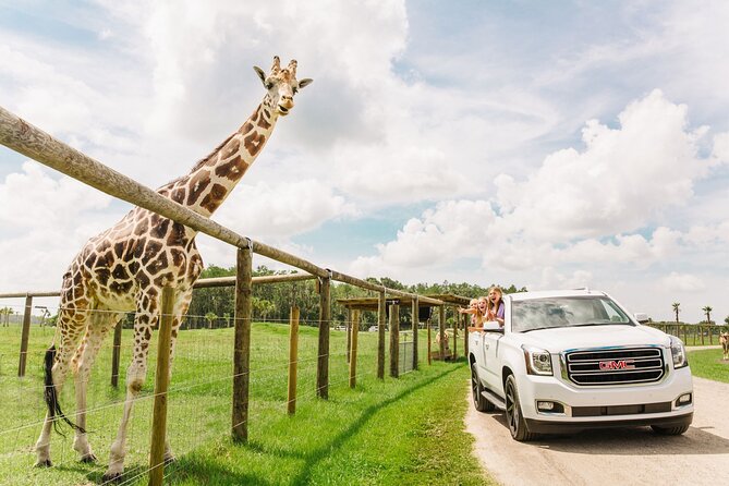 Wild Florida Drive-Thru Safari and Gator Park Admission - Wild Florida Safari Drive-Thru: What Makes It Feel Different