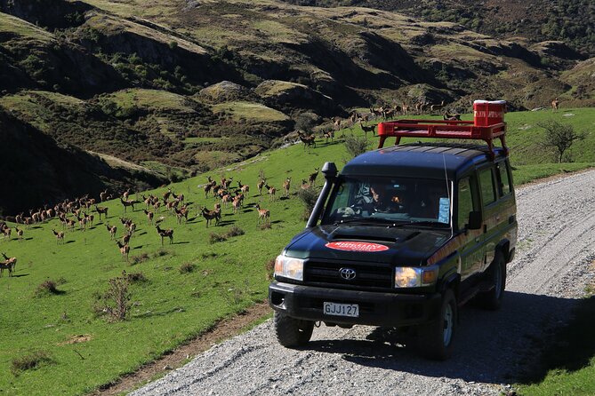Wild Hills Off Road Safari - Small group size (max 6): why the day feels personal