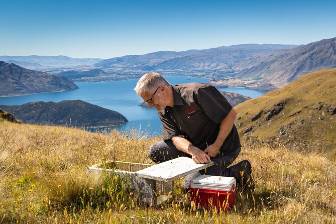 Wild Hills Off Road Safari - When this tour fits best in your Wānaka days