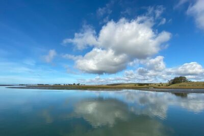 Wildlife Safari Boat Tour in Scenic Monterey Bay Wetland - The 1.5- to 2-Hour Safari Pace: Relaxed, Not Rushed