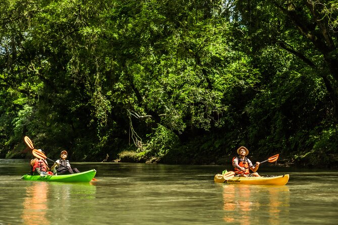 Wildlife Safari Float by Kayak in Peñas Blancas River from Arenal - Weather, Timing, and Day-Of Reality on the Water
