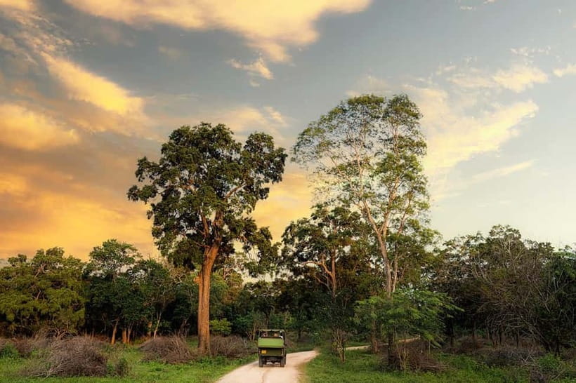 Wilpattu National park - Full day Safari (06:00am - 18:00pm) - Entering Wilpattu: How the Route Targets the Park’s Key Wildlife Areas