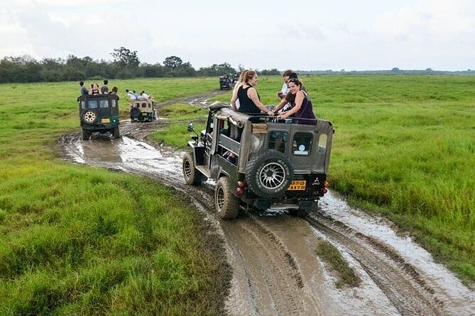 Wilpattu National Park Jeep Safari from Negombo / Waikkal (All Inclusive) - Guide quality and spotting strategy: what to watch for