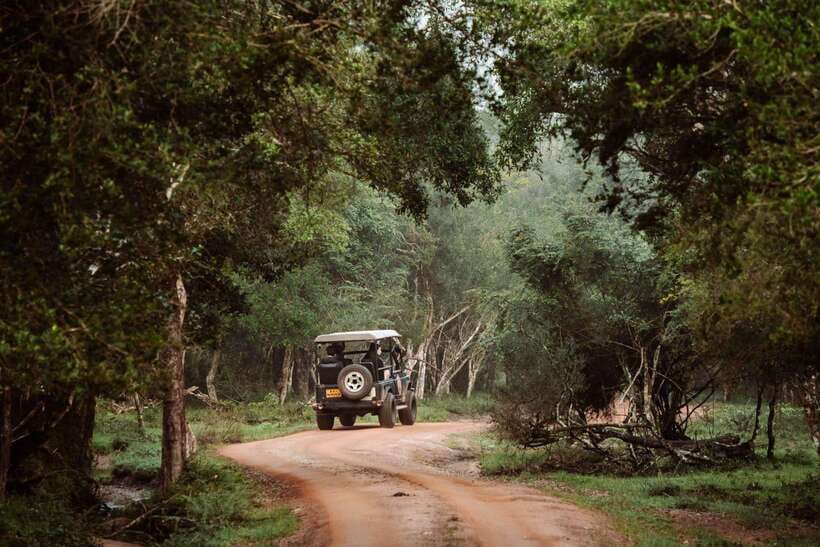 Wilpattu National Park: Private Safari - Should You Book It?