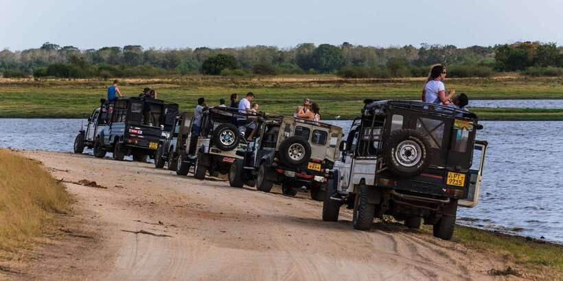 Wilpattu National Park Safari Tour from Colombo - Who should book this Wilpattu safari from Colombo