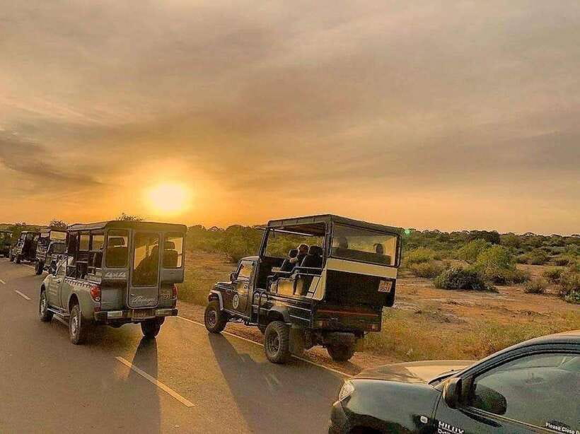Yala National Park: 7 hour & 12 hour Leopard Safari Tours - Jeep comfort, group size, and photo chances