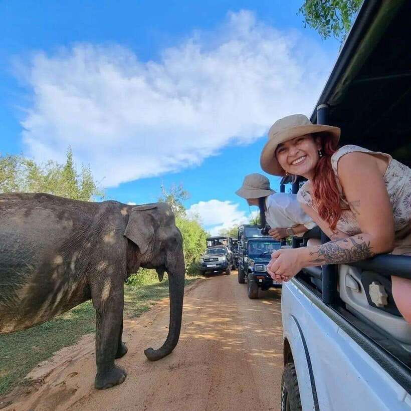 Yala National Park: All Inclusive Private Safari Day Trip - Key things you should know before you go