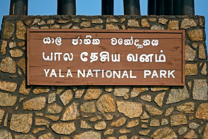 Yala National Park Half Day / Full Day Special Safari Tours - Yala in 11 to 12 hours: what the timing really means