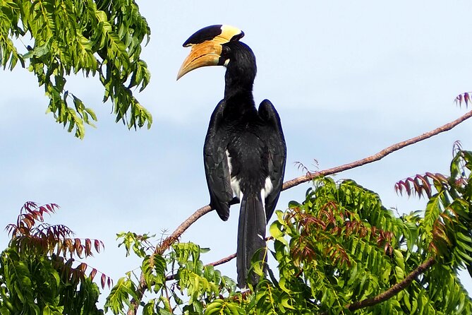 Yala National Park Half Day / Full Day Special Safari Tours - Cost and value: $22 safari price plus the $37 park ticket