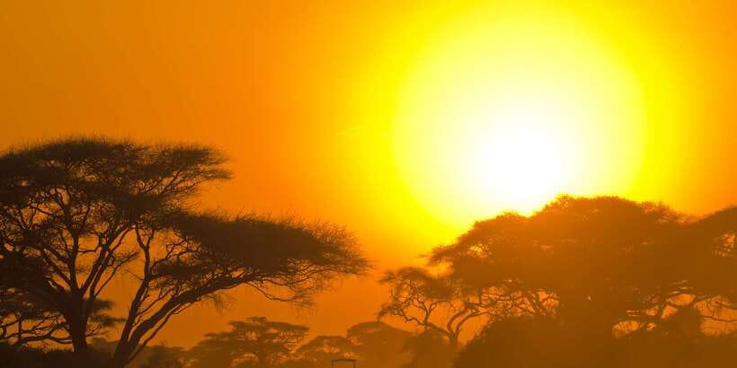 Yala National Park: Morning or Afternoon Golden Hour Safari - Photography and Comfort: Dust, Mud, and How to Stay Ready