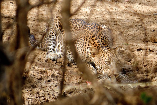 Yala National Park Private Safari - Pickup radius and what to do if your hotel is farther out