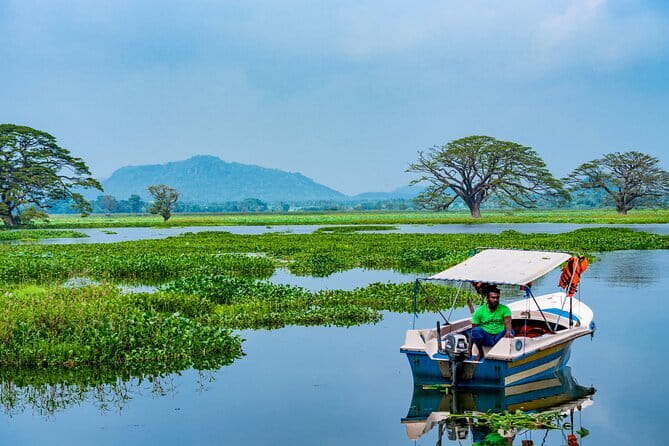 Yala National Park Safari - Half day and Full day - Who This Safari Fits Best (and Who Might Want a Different Style)