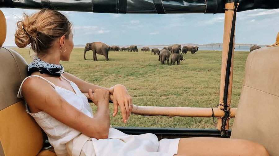 Yala National Park - Safari Tour with Hotel / Accommodation - Golden hour in Yala: why timing matters so much