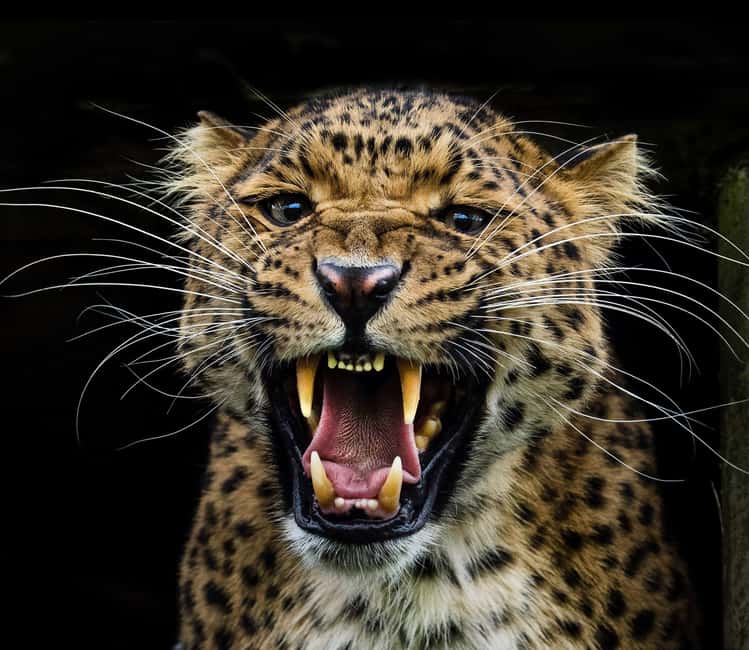 Yala National Park - Safari Tour with Hotel / Accommodation - Your Kotapola lodge stay: hot showers, Wi‑Fi, and secure lockers