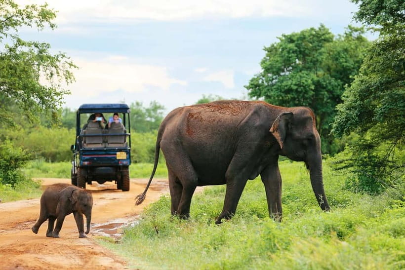 Yala National Park - Safari Tour with Hotel / Accommodation - Guides you might ride with: Sasanka, Dasani, Ishan, Yasha