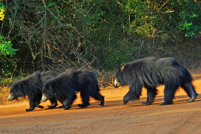 Yala Safari Day Trip from Bentota/ Kalutara/ Ahungalla/ Hikkaduwa - Getting to Yala: free pick-up makes the day feel easy