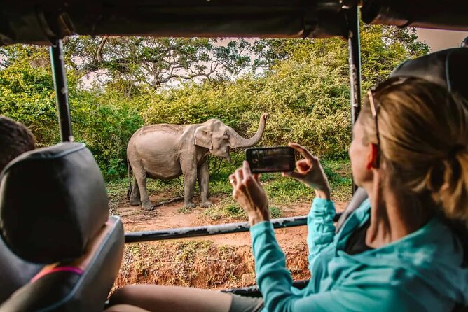 Yala Safari Tour from Hambantota Port by Ajith Safaris - Quick takeaways before you go