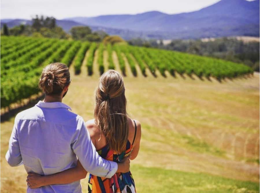 Yarra Valley Foodies Tour with Chandon and Kangaroo Safari! - A late start that makes Yarra Valley feel less like a chore