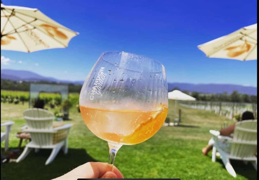 Yarra Valley Foodies Tour with Chandon and Kangaroo Safari! - Yarra Valley Dairy: the best “pause” stop for cheese lovers