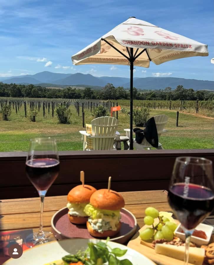 Yarra Valley Foodies Tour with Chandon and Kangaroo Safari! - Yering Station Winery: private wine tasting with cool-climate focus