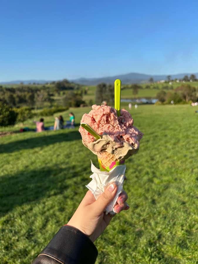 Yarra Valley Foodies Tour with Chandon and Kangaroo Safari! - Chocolates and ice cream: coverture-style and shop time