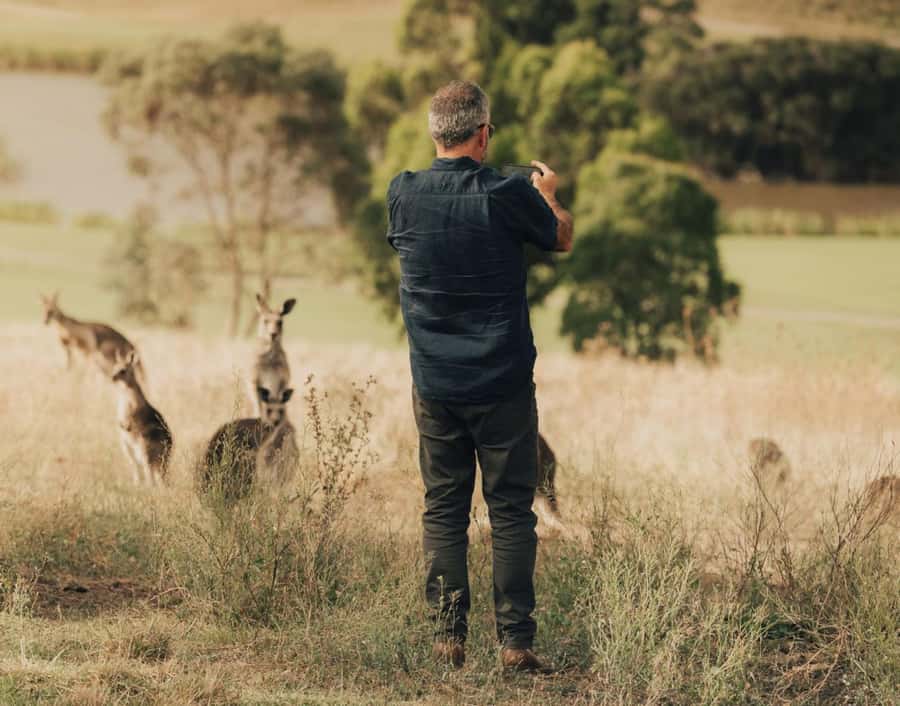 Yarra Valley Foodies Tour with Chandon and Kangaroo Safari! - Who should book this tour (and who should skip it)