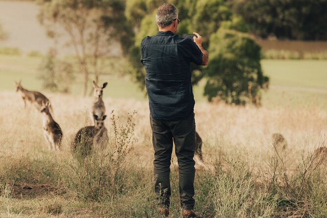 Yarra Valley Foodies Tour with Chandon & Kangaroo Safari! - Yarra Valley Dairy: Cheese Tastings at a Boutique Maker