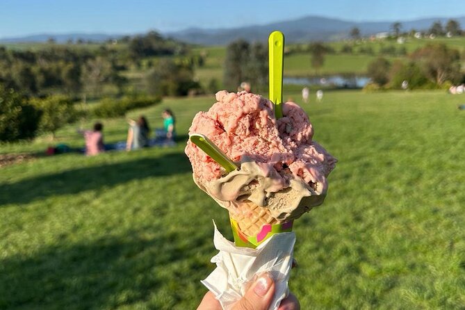 Yarra Valley Foodies Tour with Chandon & Kangaroo Safari! - Kangaroo Ground: The 30-Minute Kangaroo Safari Finale
