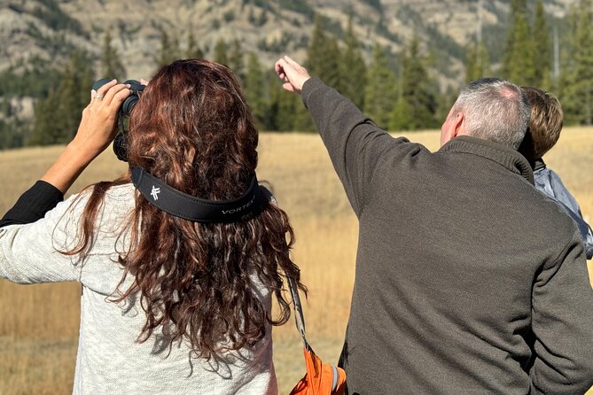 Yellowstone Upper Loop Wildlife Safari | Lamar Valley | PRIVATE - Lamar Valley First: Wildlife Safari in Wolf and Bear Country