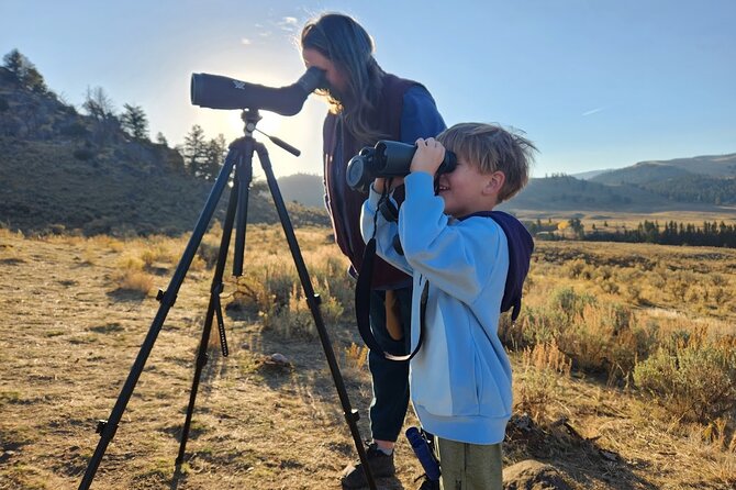 Yellowstone Upper Loop Wildlife Safari | Lamar Valley | PRIVATE - Gibbon Falls and Norris: Waterfalls on the Caldera Edge