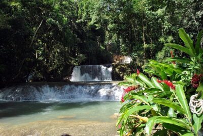YS Falls, Black River Safari, Appleton Rum Tour OR Pelican Bar (Choose Up to 3) - Pickup, timing, and why the drive time can make or break your day