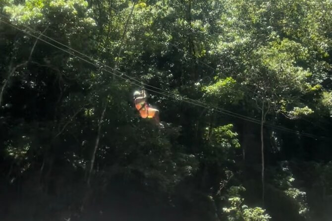 YS Falls, Black River Safari, Appleton Rum Tour OR Pelican Bar (Choose Up to 3) - Black River Safari: the crocodile-spotting boat ride that actually feels different