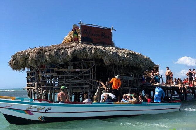 YS Falls, Black River Safari, Appleton Rum Tour OR Pelican Bar (Choose Up to 3) - YS Falls: seven-tier waterfalls, swimming options, and the rope-swing factor