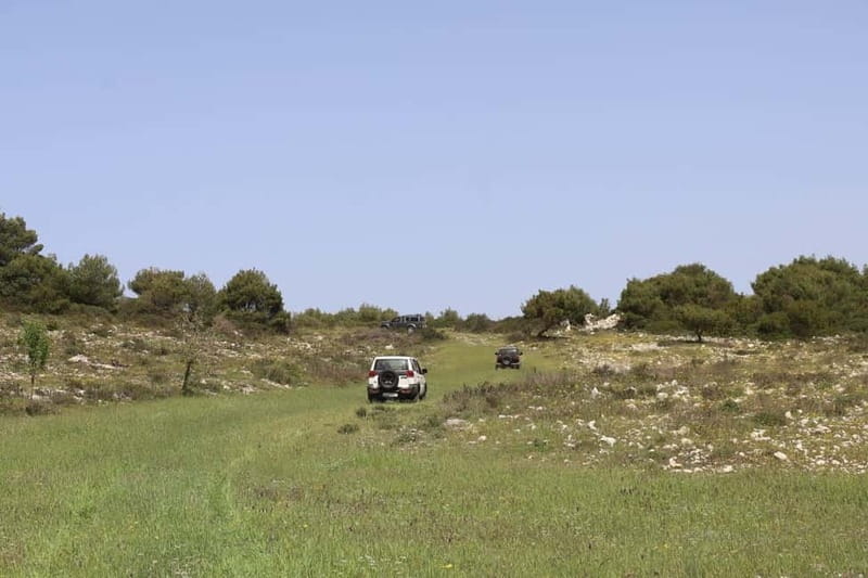 Zakynthos: Jeep Safari + Full Day Sea & Land Tour - Price and Value for an 8-Hour Island Cross-Section