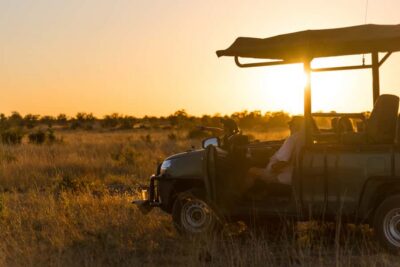 Zambezi National Park Game Drive in a Small Group - The Open 4x4 Ride: Where You’ll Get the Best Animal Viewing
